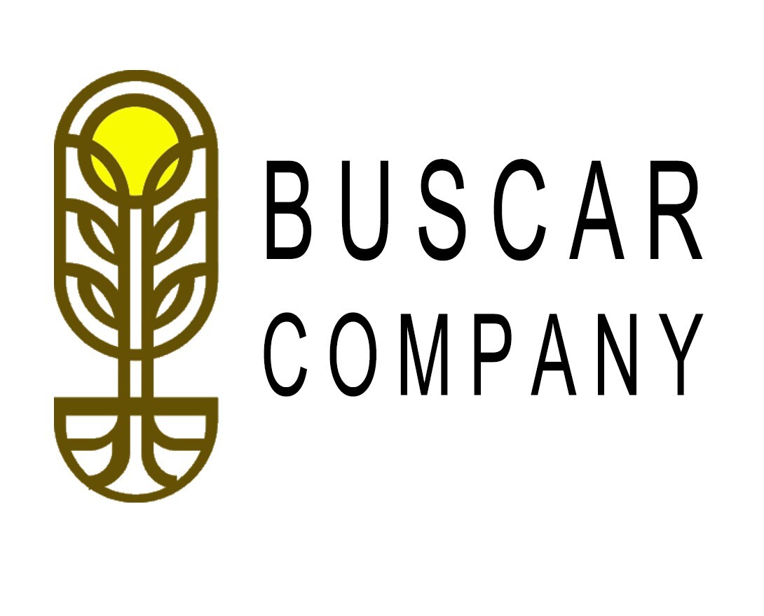 Buscar Company Files Fiscal Year Financials for Period Ended June 30, 2025, and Progresses Audit Toward Achieving Fully Reporting Status and OTCQX Uplisting