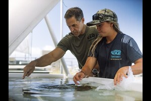 ASU launches online ocean futures undergraduate degrees