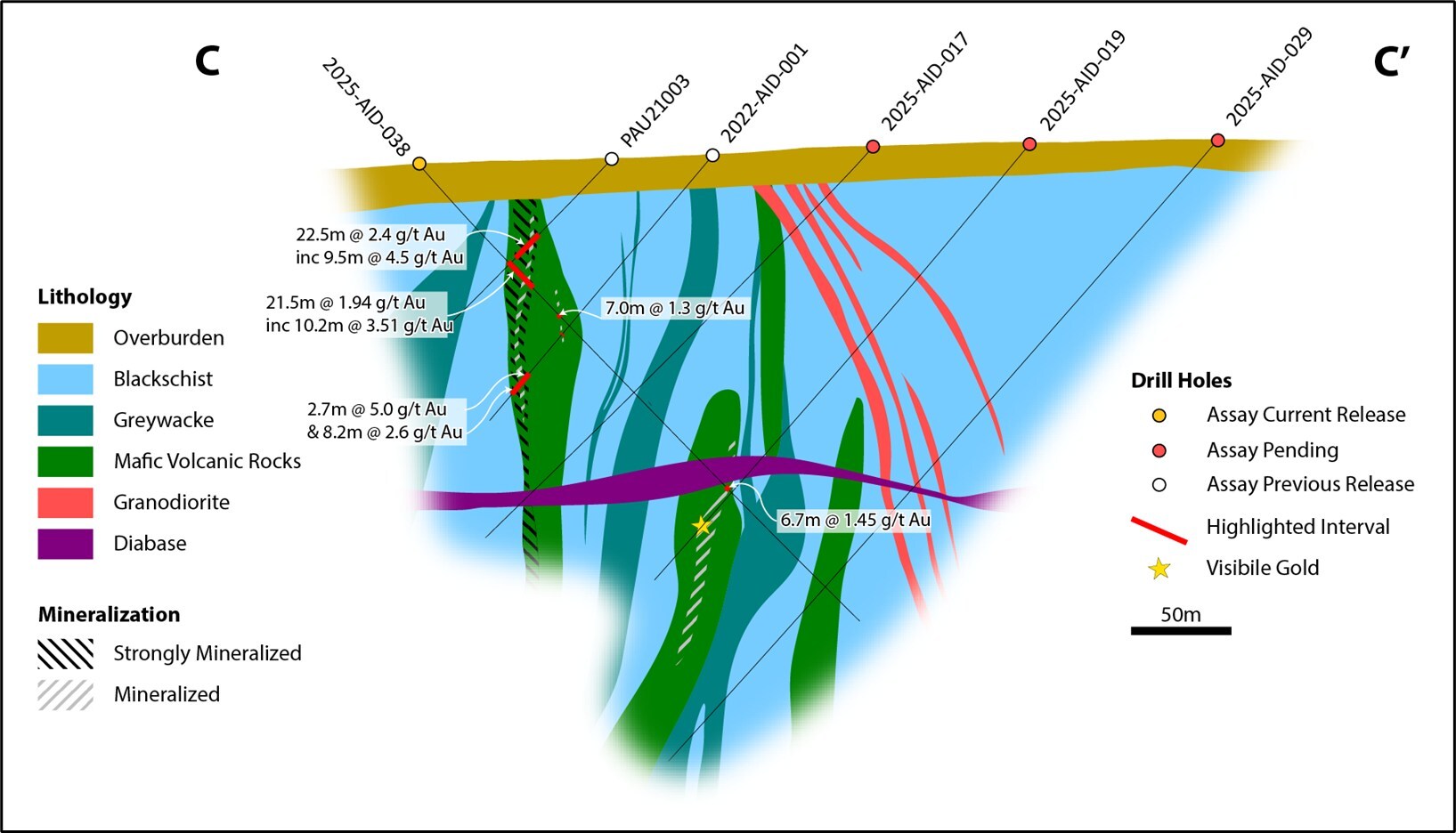 Figure 2: Section C-C’. Cross section through the Central and Pharao Zones of Aida, with the discovery hole (PAU21003), and hole 2025-AID-038 with 21.5 m @ 1.94 g/t Au in the Central structure to the west, and a truncated intercept of 6.7 m @ 1.45 g/t Au in the new Pharao structure in the lower centre of the figure. (CNW Group/First Nordic Metals Corp.) Figure 2: Section C-C’. Cross section through the Central and Pharao Zones of Aida, with the discovery hole (PAU21003), and hole 2025-AID-038 with 21.5 m @ 1.94 g/t Au in the Central structure to the west, and a truncated intercept of 6.7 m @ 1.45 g/t Au in the new Pharao structure in the lower centre of the figure. (CNW Group/First Nordic Metals Corp.)