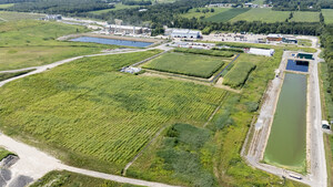 Expansion du système Evaplant - 180 000 saules supplémentaires pour évaporer naturellement les eaux de lixiviation du lieu d'enfouissement technique de WM à Sainte-Sophie.