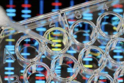 Unable to view the image, Please provide a valid URL.