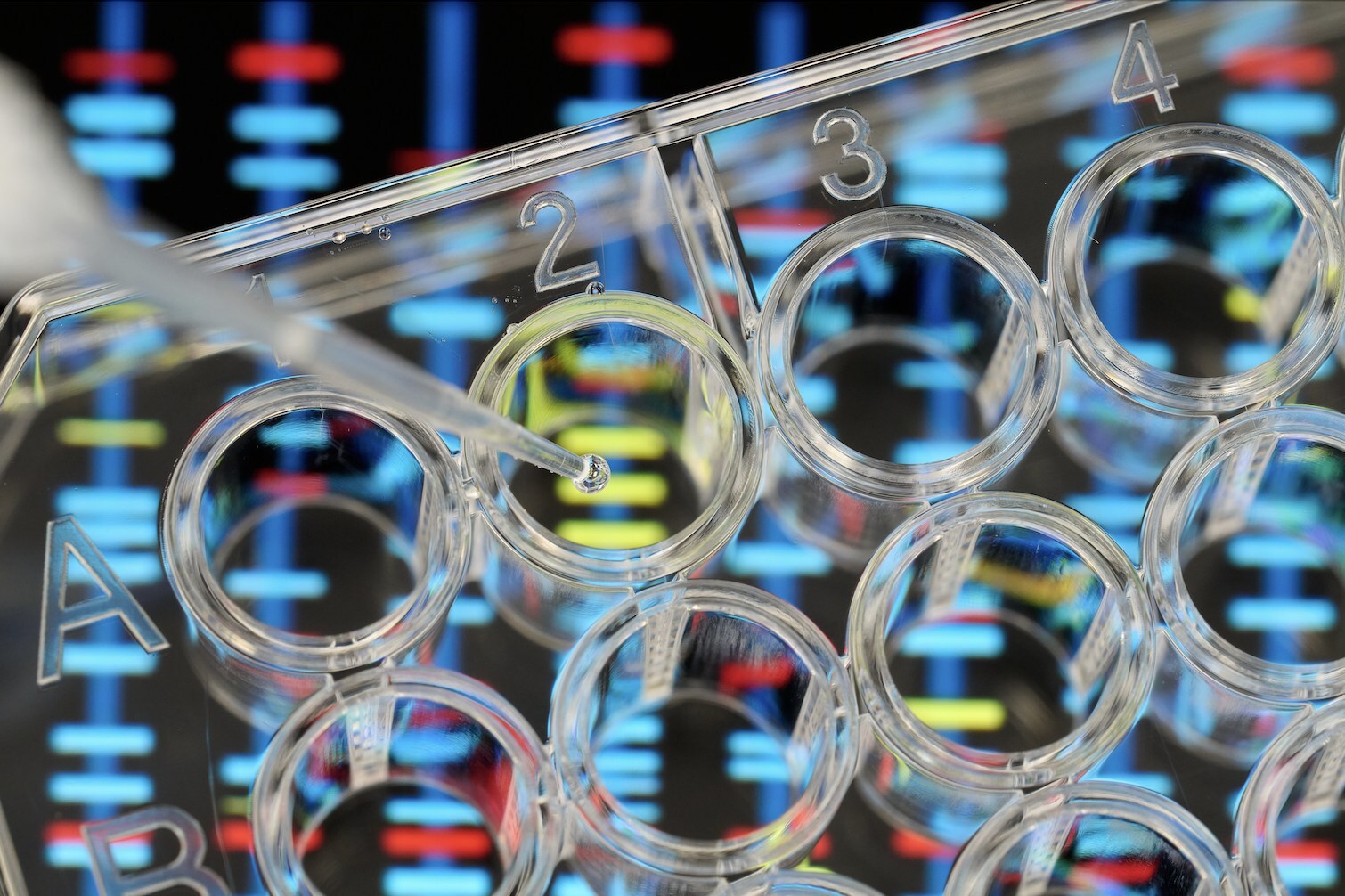 Debut Raises $20M to Fast-track AI Ingredient Discovery in Skin Longevity and Grow its Formulation Business in the US and Asia