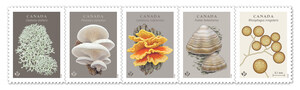 Des timbres soulignent la beauté des champignons et leur importance pour les écosystèmes canadiens
