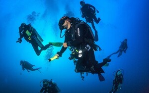 Buceo en Loreto, Baja California Sur: beneficios, preparación y mejores playas
