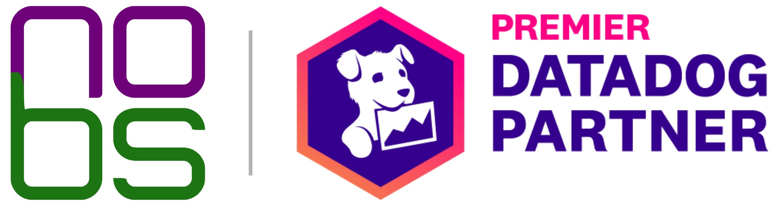 NoBS.tech Achieves Datadog Premier Partner Status in Under Two Years