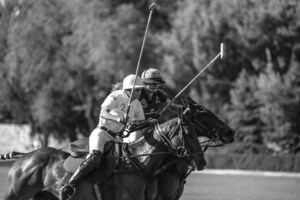 Queen's Polo Cup Launches in Charlotte, NC: A New Annual Tradition in the Queen City