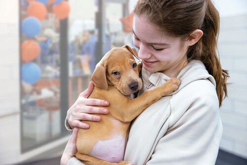 Credit: PetSmart Credit: PetSmart