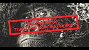 Tarzan, King of the Jungle, Appears in New York The Sad Eyes of a Gorilla Shake Up Times Square