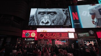 Time Square Display