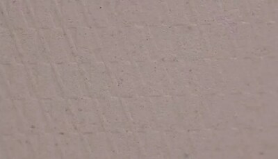 艾利丹尼森大麦纸标签