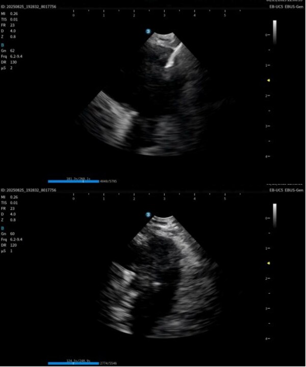 Unable to view the image, Please provide a valid URL.