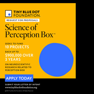 Tiny Blue Dot Foundation Opens Fourth Round of Global Research Funding on the Science of Perception Box™
