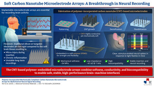 SeoulTech Develop Hybrid Polymer-CNT Electrodes for Safer Brain-Machine Interfaces