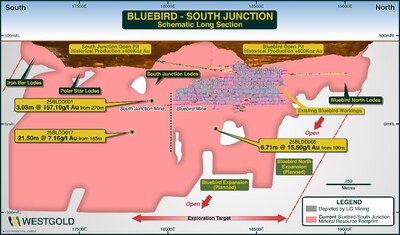 Figure 8 – Bluebird – South Junction Mineral Resource Schematic FY25. (CNW Group/Westgold Resources Limited)