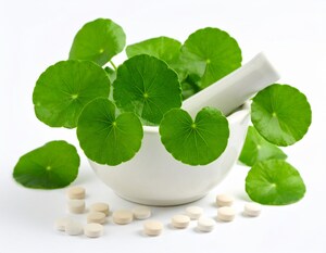 3H LABS Introduces High-Potency Gotu Kola to US, Europe as Eye Health Ally