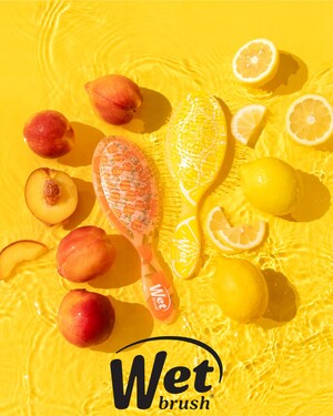 Wet Brush® Relaunches Direct-to-Consumer Shopping Experience on WetBrush.com