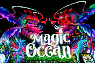 Tianyu Lights Festival 1