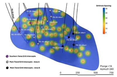Figure 2 – Longitudinal view of the Tesla Zone Main Lens (looking southwest), showing the pierce points of drilling prior to this release along with traces of the new holes included in this release. (CNW Group/Foran Mining Corporation)