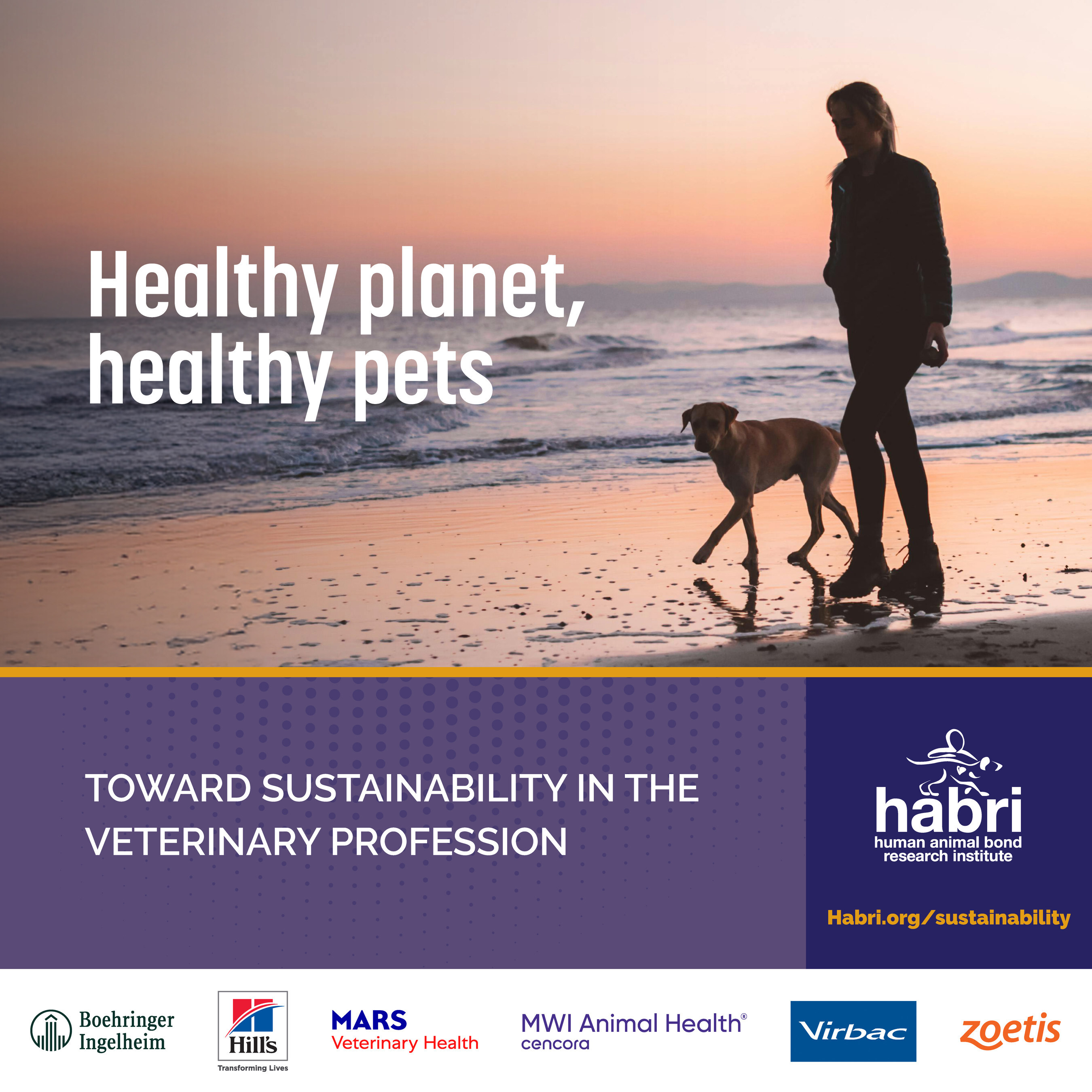 Leading Animal Health Organizations Chart a Path Toward a Sustainable Future for Veterinary Medicine