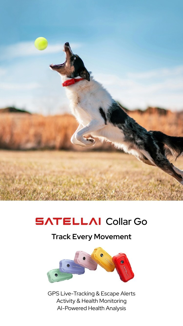 SATELLAI Announces Collar Go, GPS Collar with AI-Powered Health Analysis, 15-Day Battery Life, and More