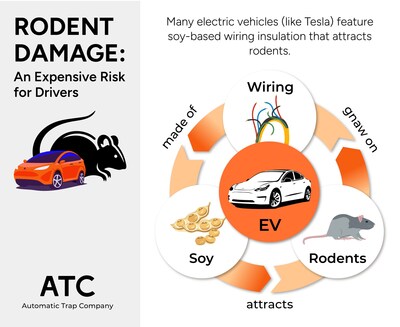 Rodent damage to vehicle wiring, insulation, fuel lines, and interior components can result in repair bills ranging from $300 to $10,000, with extreme cases hitting $15,000 or more.