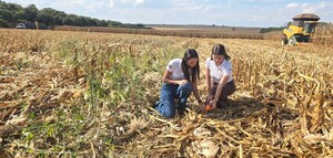 Com práticas de agricultura regenerativa, fazenda no interior de SP registra pegadas de carbono de soja e milho abaixo da média nacional