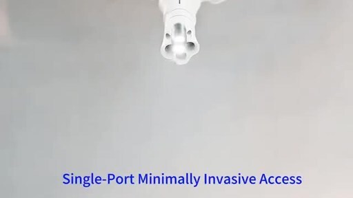 This image opens in the lightbox