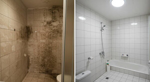 Winning the battle with mold--advice from Central Coast Casualty &amp; Restoration