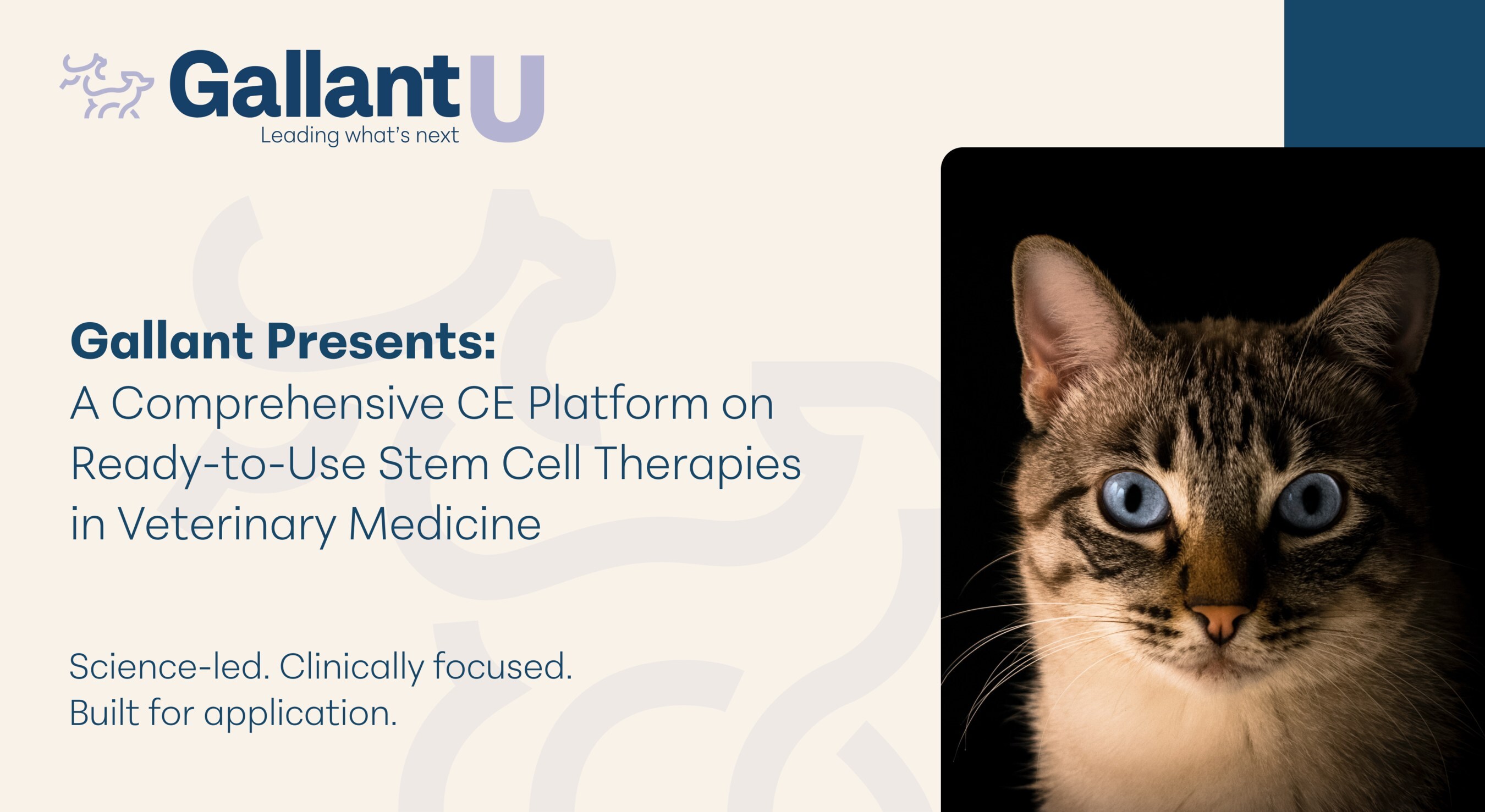 Gallant Debuts GallantU: A Comprehensive CE Platform Preparing Veterinary Professionals for the Regenerative Medicine Era
