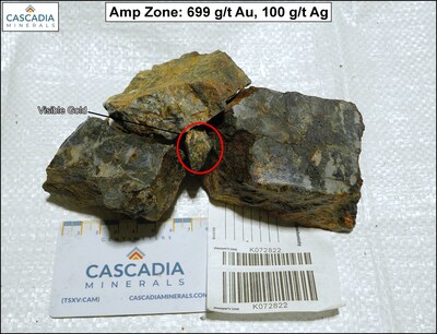 Figure 2 – Amp Zone Rock Sample (699 g/t Au) (CNW Group/Cascadia Minerals Ltd.)