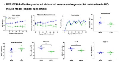 In Vivo Efficacy Validation (Mouse Model)