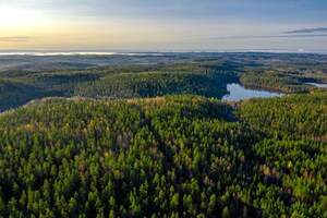 INVESTIIR Group Launches the 5th Phase of Domaine Pine Hill: 121 New Lots in the Laurentians