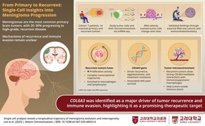 Korea University Study Reveals Hidden Complexity in Recurrent Brain Tumors