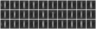 LivingPhoenix Technology’s POGMENT collagen achieves global first high-resolution visualization of 