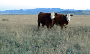 McDonald's USA Makes Company's Largest-Ever Investment in Regenerative Agriculture through National Fish and Wildlife Foundation Partnership
