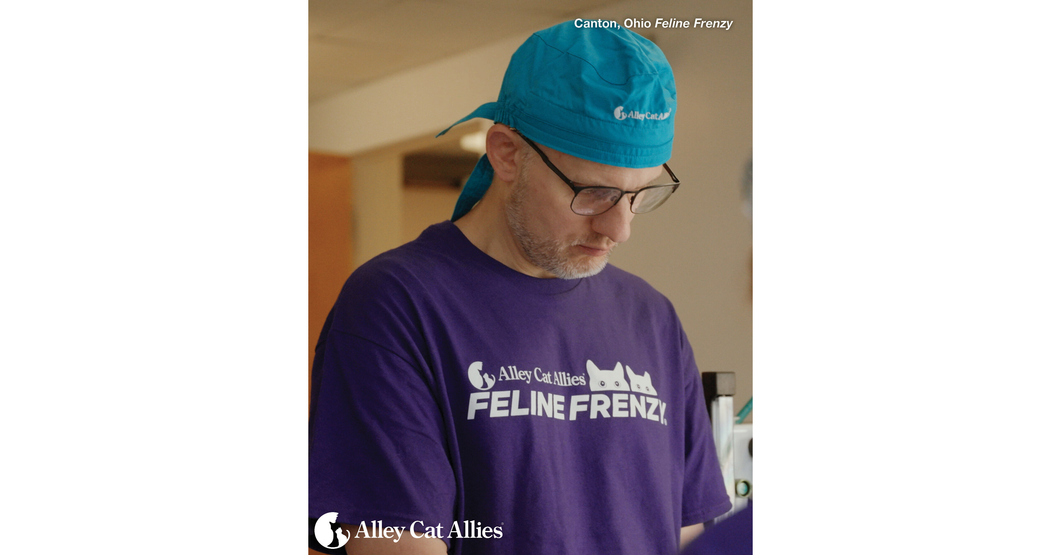 169 Community Cats Spayed or Neutered in One Day at Alley Cat Allies Feline Frenzy® in Canton, Ohio
