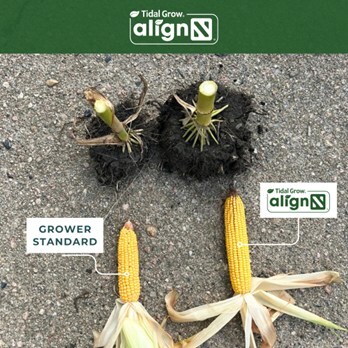 Tidal Grow AgriScience alignN® grower trials demonstrated measurable crop performance improvements.