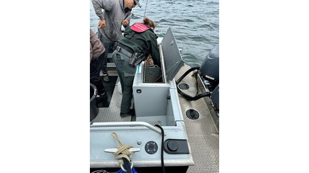 dfo seagod accessories vs fish 2026 Florida Saltwater Fishing Guide Cards - 5 Double-Sided PVC Fish|Shark Identification & Size Limits Quick Reference Cards with FWC Rules LA WARNING DFO Regulations 2026 Hook Ban