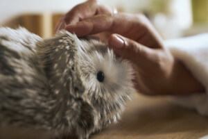 CASIO INTRODUCES MOFLIN, THE EMOTIONALLY RESPONSIVE SMART COMPANION THAT LEARNS AND EVOLVES WITH YOU