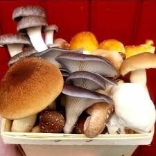 Two River Organic Mushrooms are grown with care for fresh delivery and for the brand's new Lion's Mane broth now at Sprouts Farmers Market.