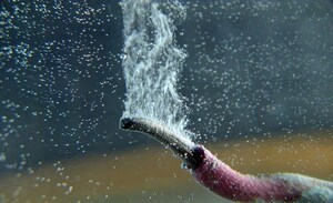 Chung-Ang University Develops Chloride-Resistant Ru Nanocatalysts for Sustainable Hydrogen Production from Seawater