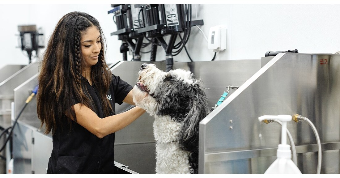 Sparkle Grooming Co. Redefines Pet Care with Fast-Growing Franchise Model