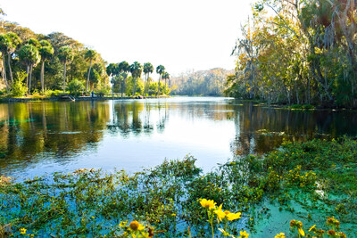 Green Cove Springs, FL | Century Communities