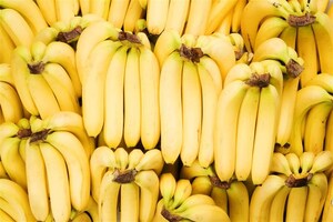 Costa Rican Bananas Stand Out Globally for Innovation and Sustainability