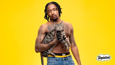 The TEMPTATIONS™ brand partnered with pop culture icon Kordell Beckham to further the brand’s mission and recognize Cat Dads as some of the most irresistible men who have been long overlooked.