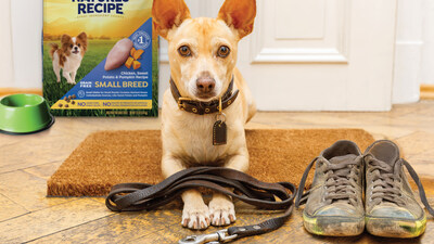 National Walk Your Dog Week