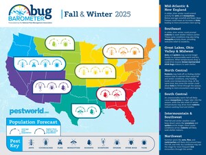 Pest Season Isn't Over: Experts Predict Milder Temps Will Keep Them Buzzing