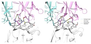 Galux Demonstrates De Novo Antibody Design With Structural and Functional Validation Across Eight Targets