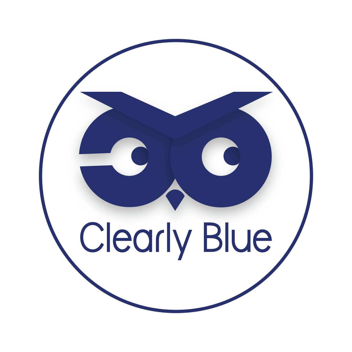 The Clear Owl: A New AI-Powered Hybrid Platform for Content Marketing