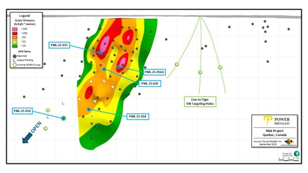 Figure 2: Lion Area long-section with drill hole locations reported in this news release. (CNW Group/Power Metallic Mines Inc.)